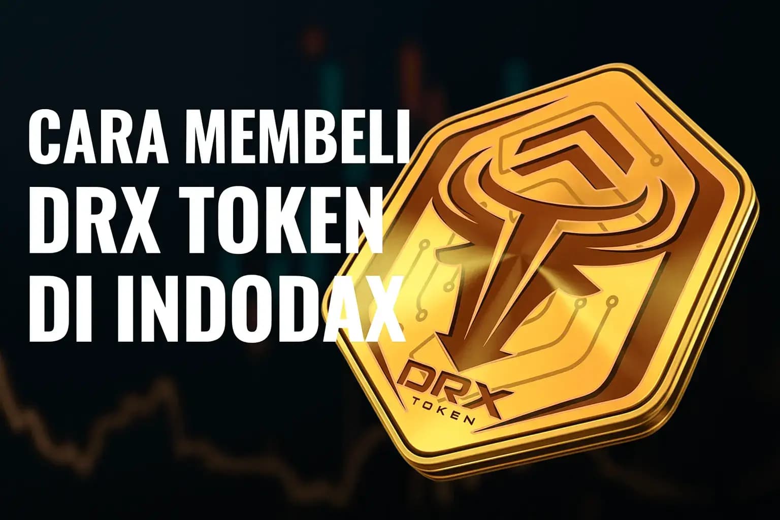 Cara Membeli DRX Token di Indodax : Panduan Lengkap untuk Pemula!