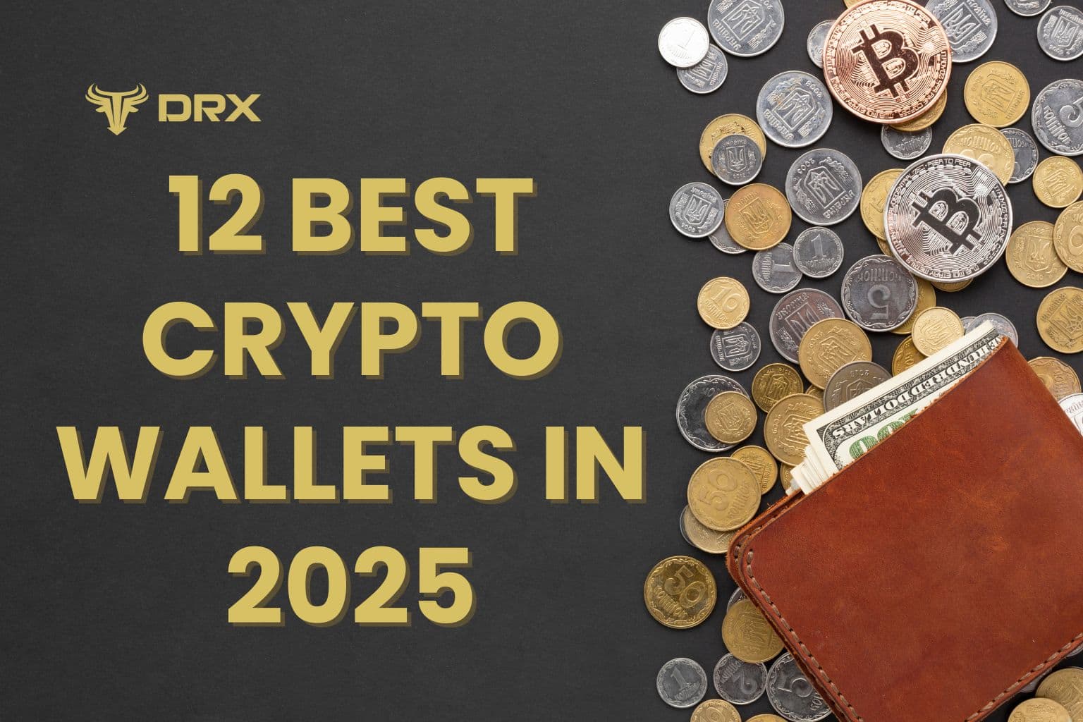 12 Best Crypto Wallets in 2025 for Beginners (Hot & Cold Wallets)