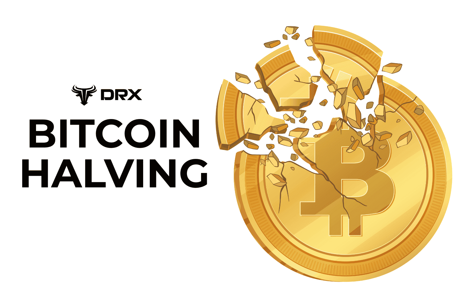 What is Bitcoin Halving? Impacts, History, and Prediction for Investors