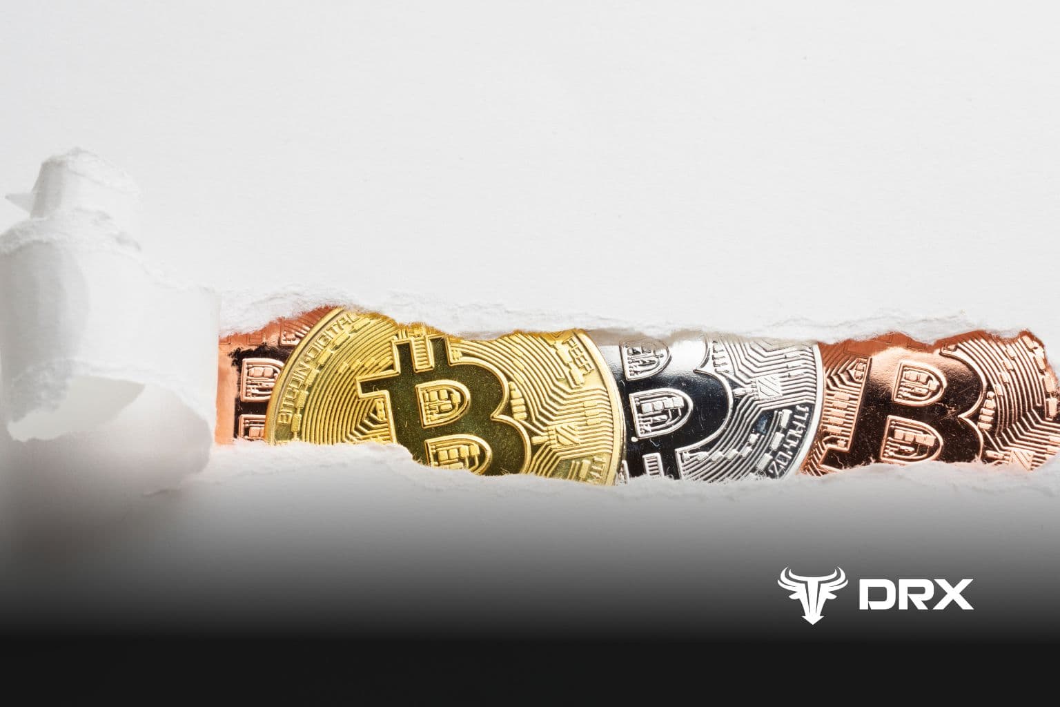 CIO Bitwise Ungkap Alasan Harga Bitcoin Turun