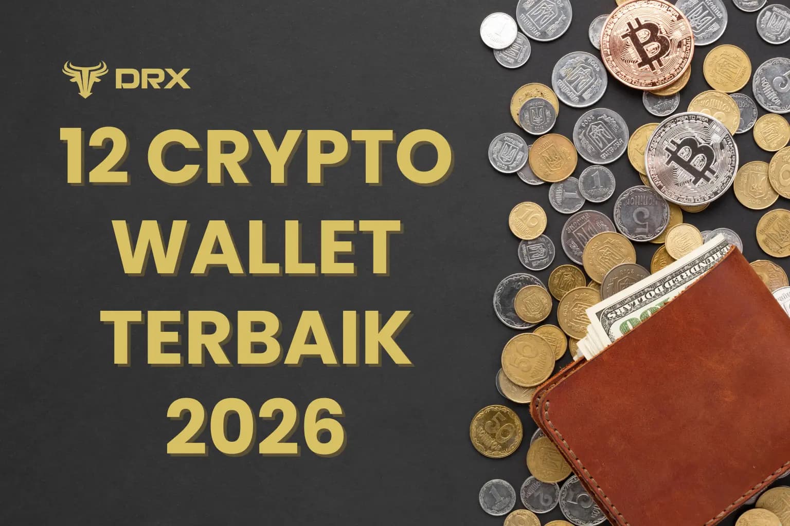 12 Crypto Wallet Terbaik 2026 untuk Pemula (Hot & Cold Wallet)