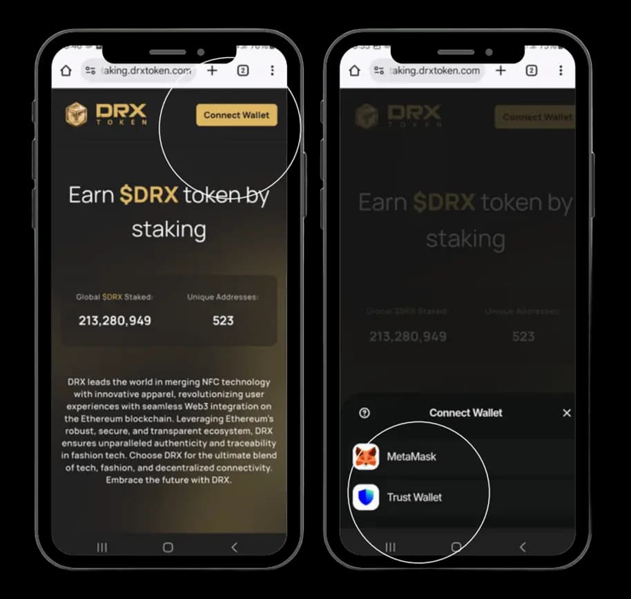 STEP 1: CONNECT YOUR WALLET roadmap