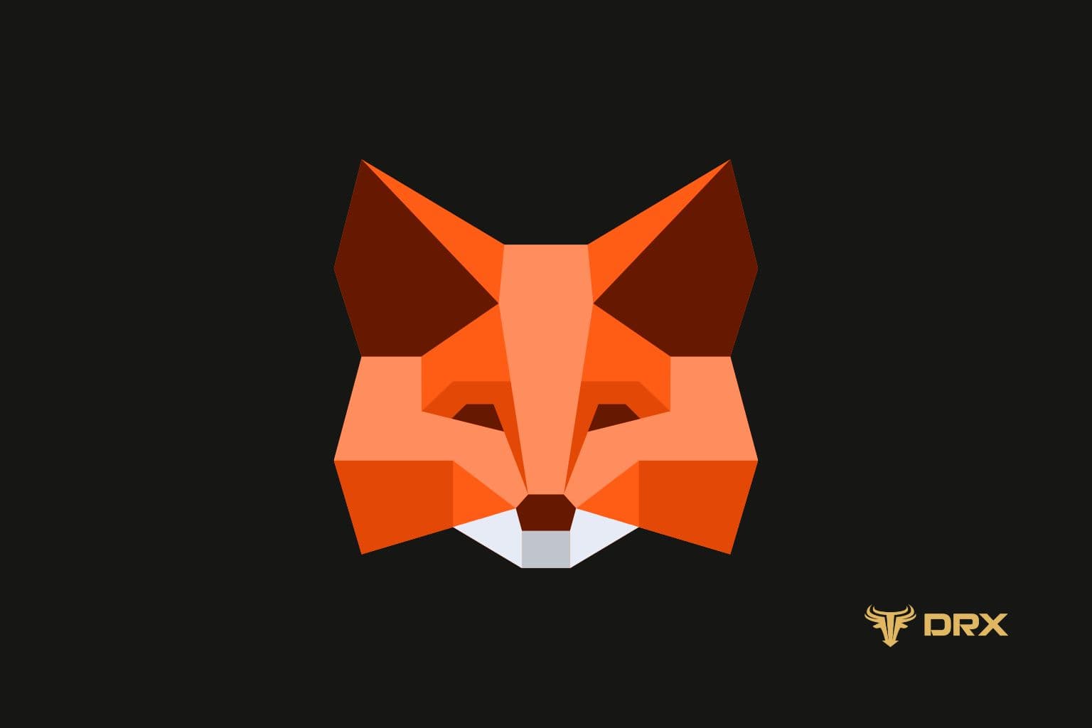Crypto Wallet MetaMask Resmi Mendukung Bitcoin